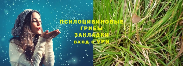 прущие крисы Алексин