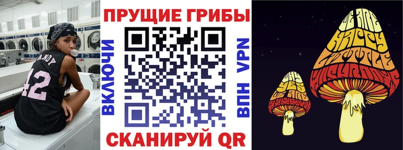 Галлюциногенные грибы Cubensis Циолковский