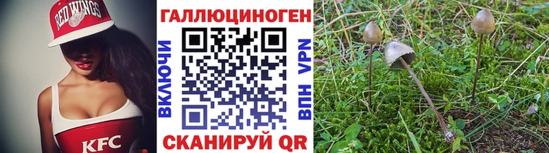 Псилоцибиновые грибы Magic Shrooms  наркота  kraken ONION  Циолковский 